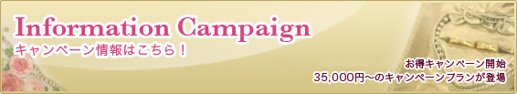 キャンペーン情報はこちら Information campaign